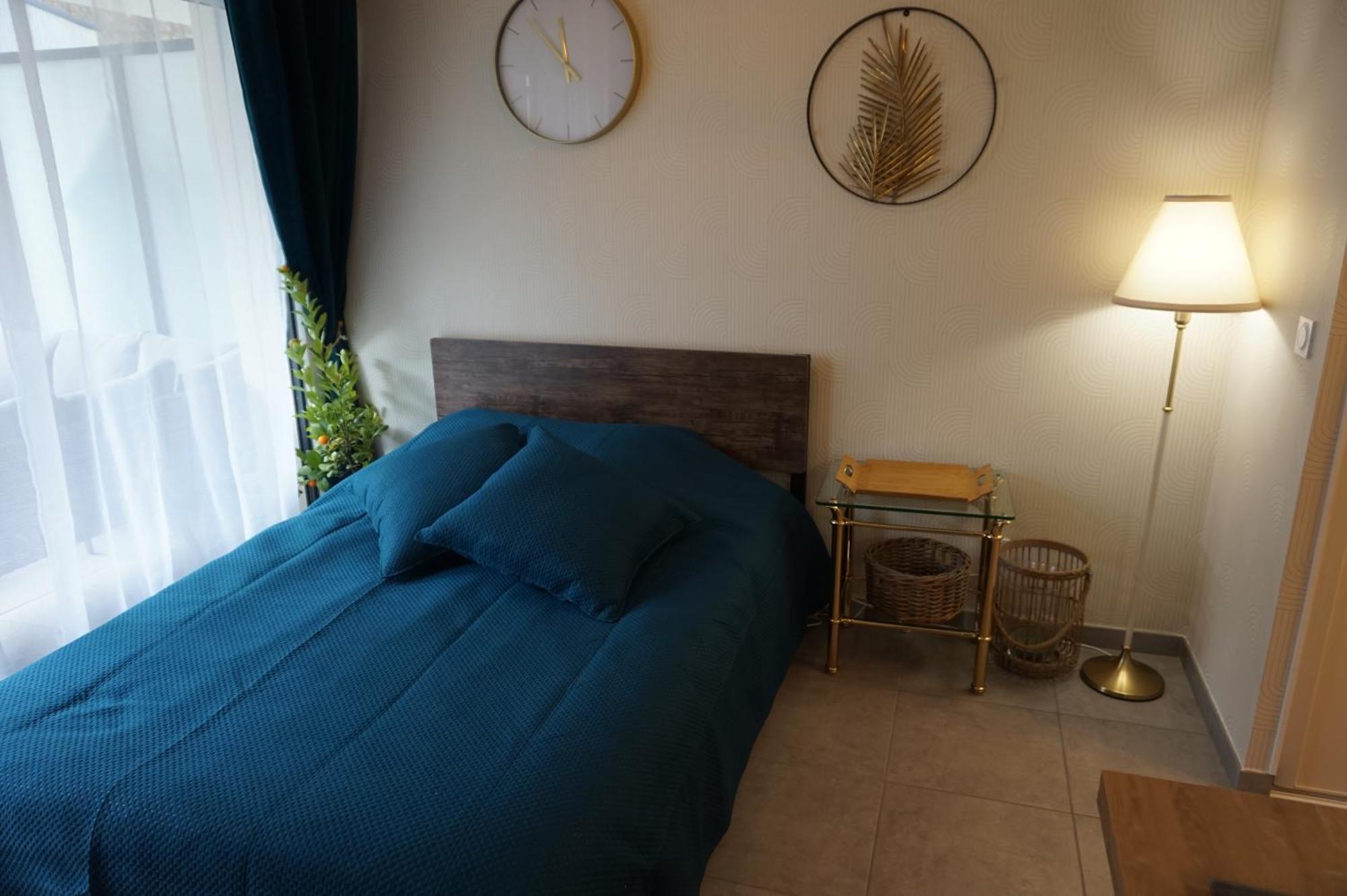 L'Ecrin Vert Chambery Coeur De Ville エクステリア 写真
